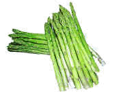 Asparagus